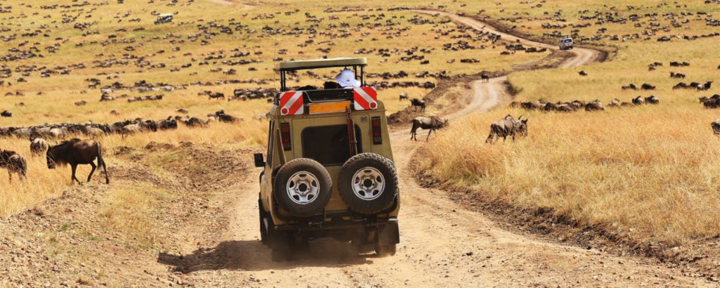 Ngorongoro Crater safari